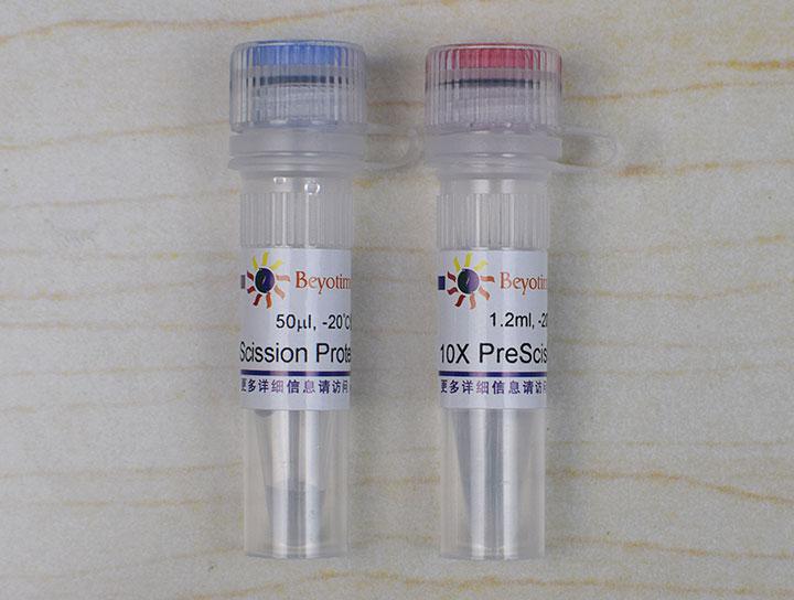 PreScission Protease